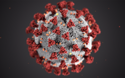 Informations coronavirus – Covid 19